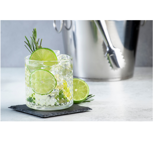 Gin and Tonic Craft Cocktail